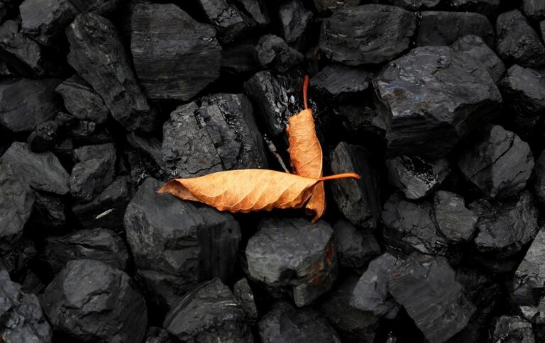 Odklon od uhlí i rozvoj obnovitelných zdrojů energie
